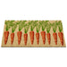 Carrots Natural Fiber Printed Coir Doormat 18x30